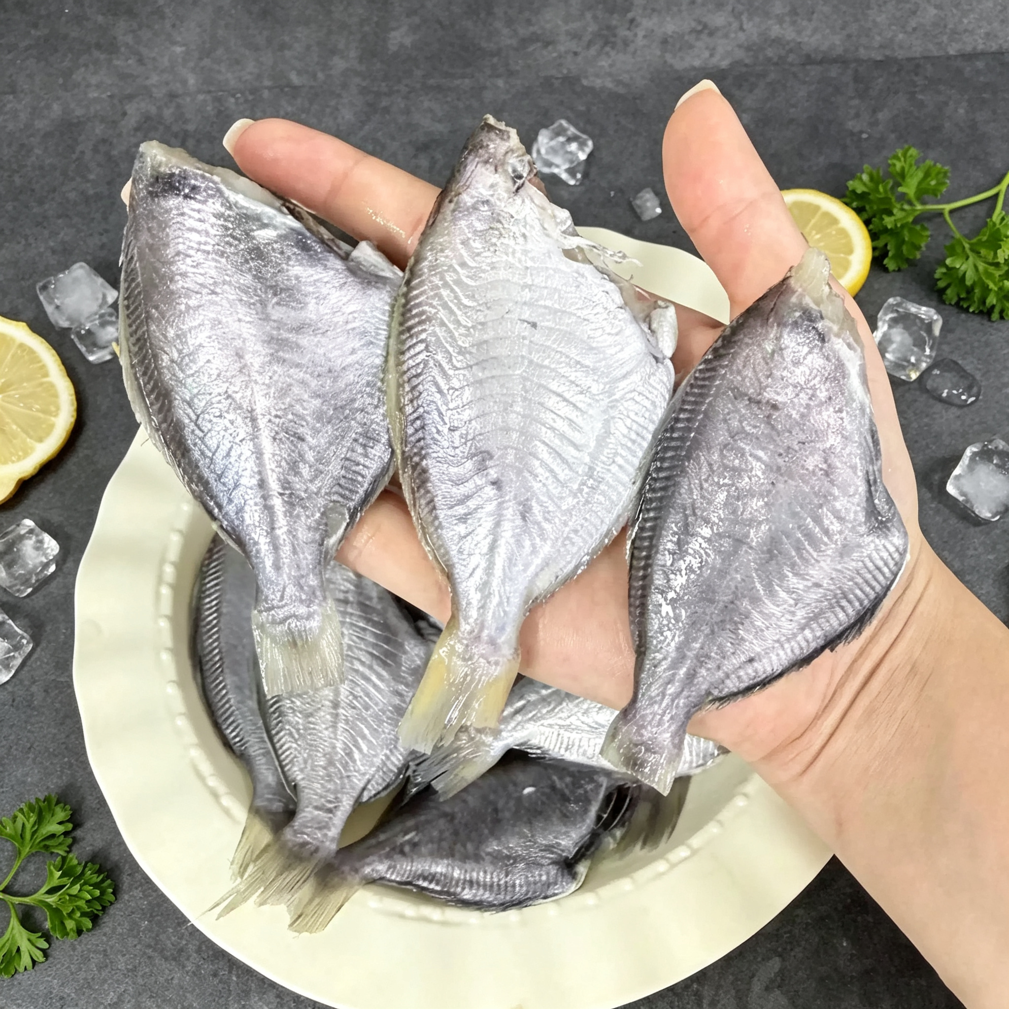 Fresh Flounder