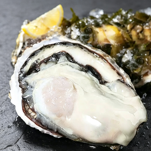 Fresh Bluff Oysters